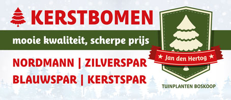 Kerstbomen